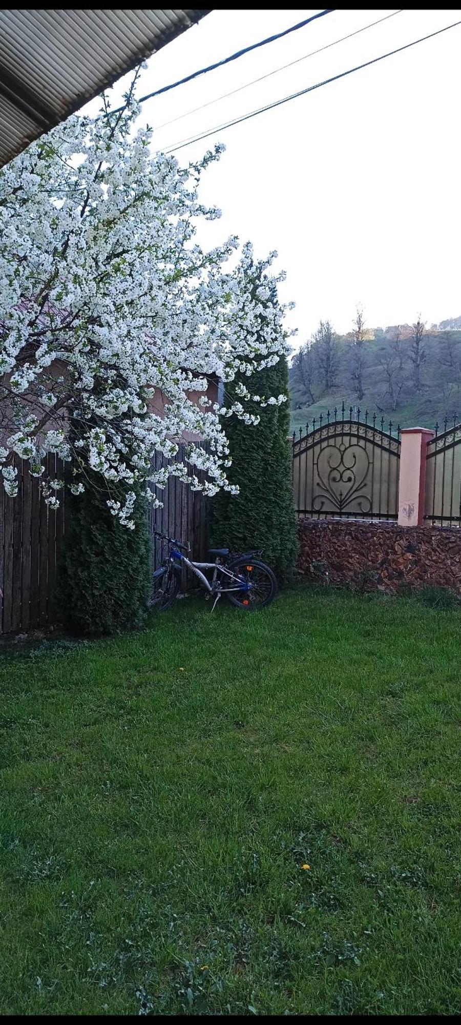 Popasul Drumetului Transfagarasan Hotel Curtea De Arges Bagian luar foto